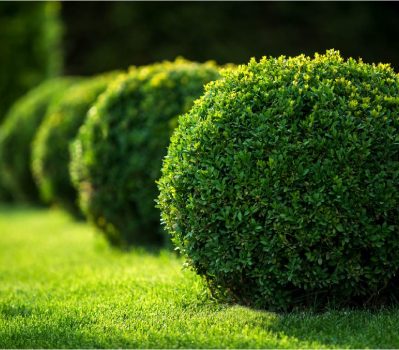 Gardening
